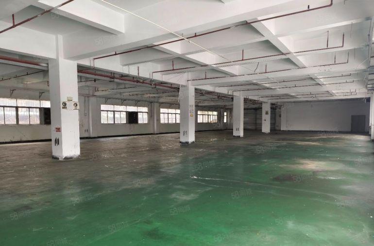 道滘南丫工业区独院标准厂房出租