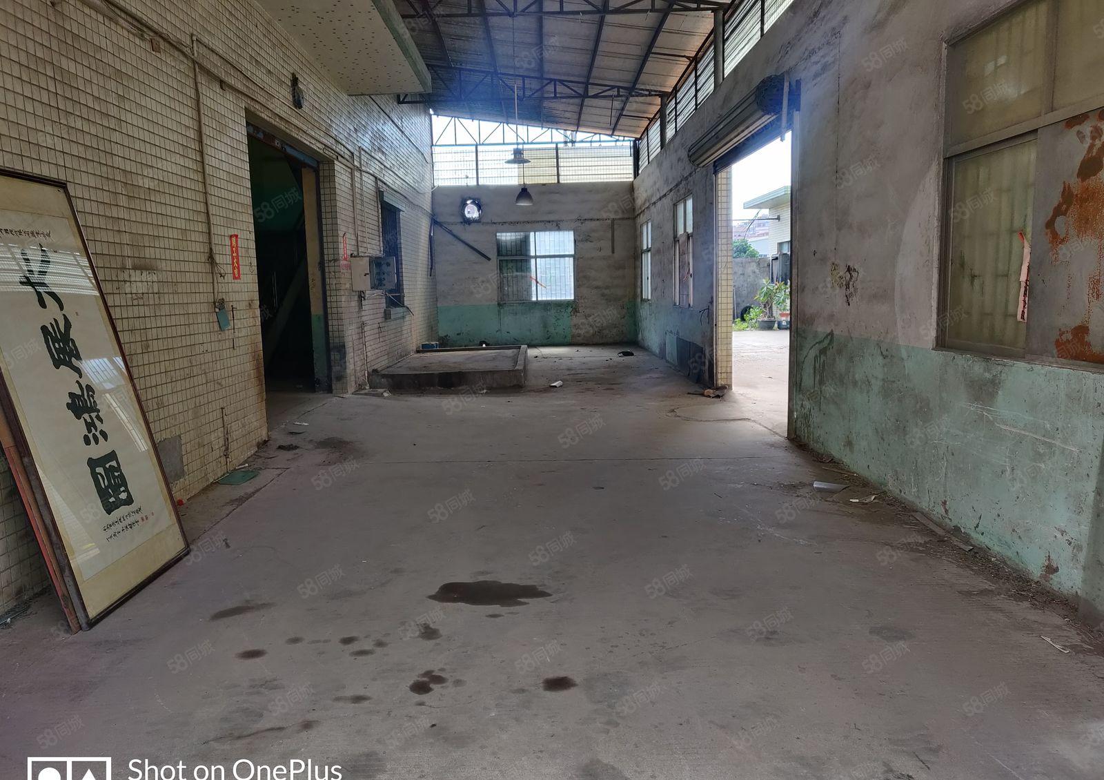 道滘，超大单层铁皮房价格便宜可谈，进车方便，电随便用