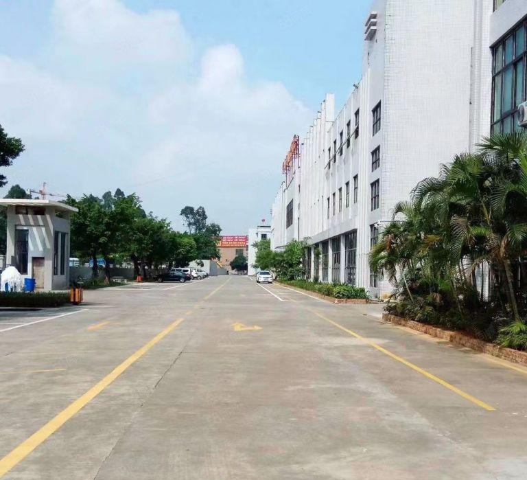 道滘新出3750方13层标准厂房园区厂房出租环境好管理规范