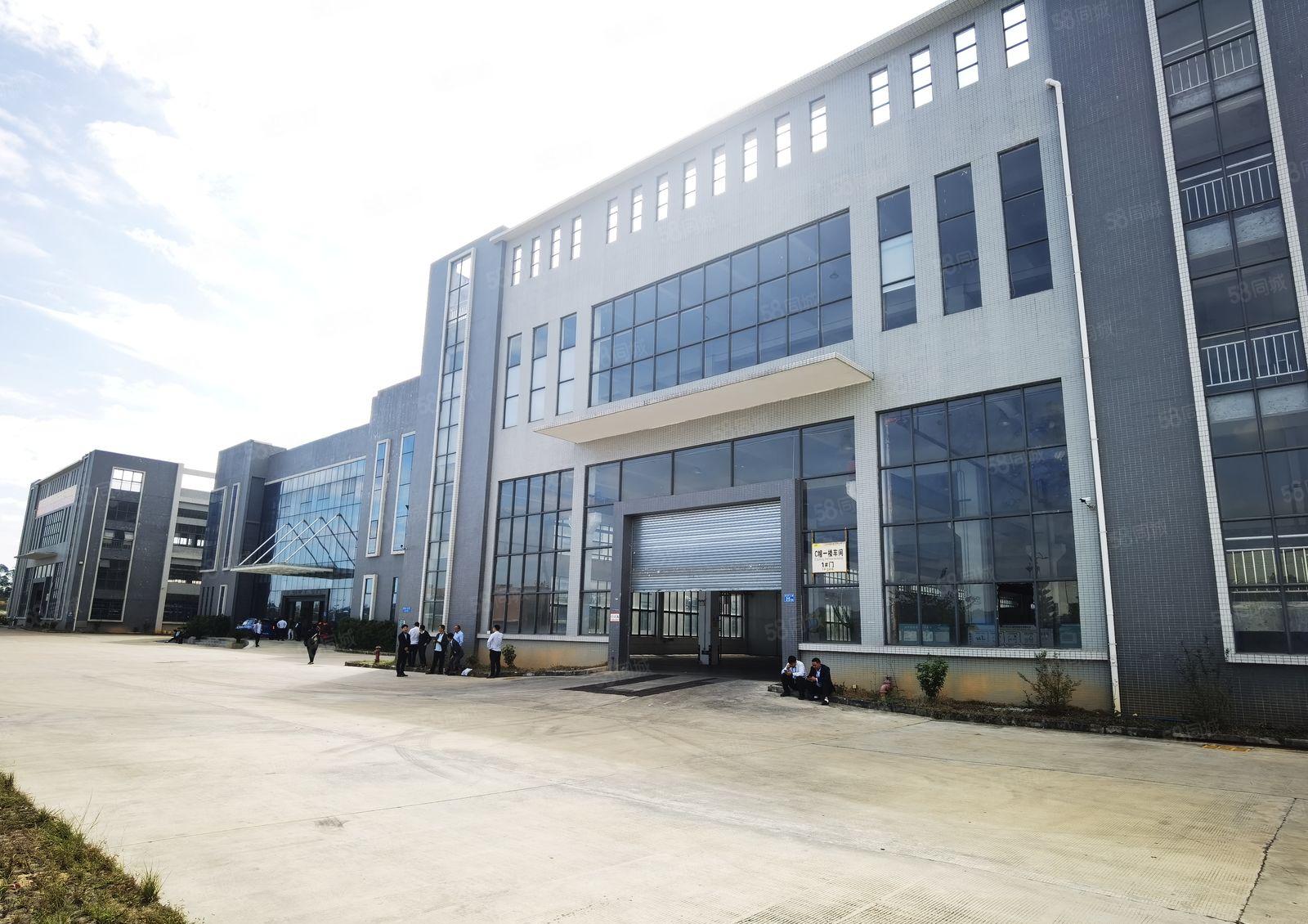 带牛角位！东莞道滘独院厂房出租9200平方低价可分租现成装修