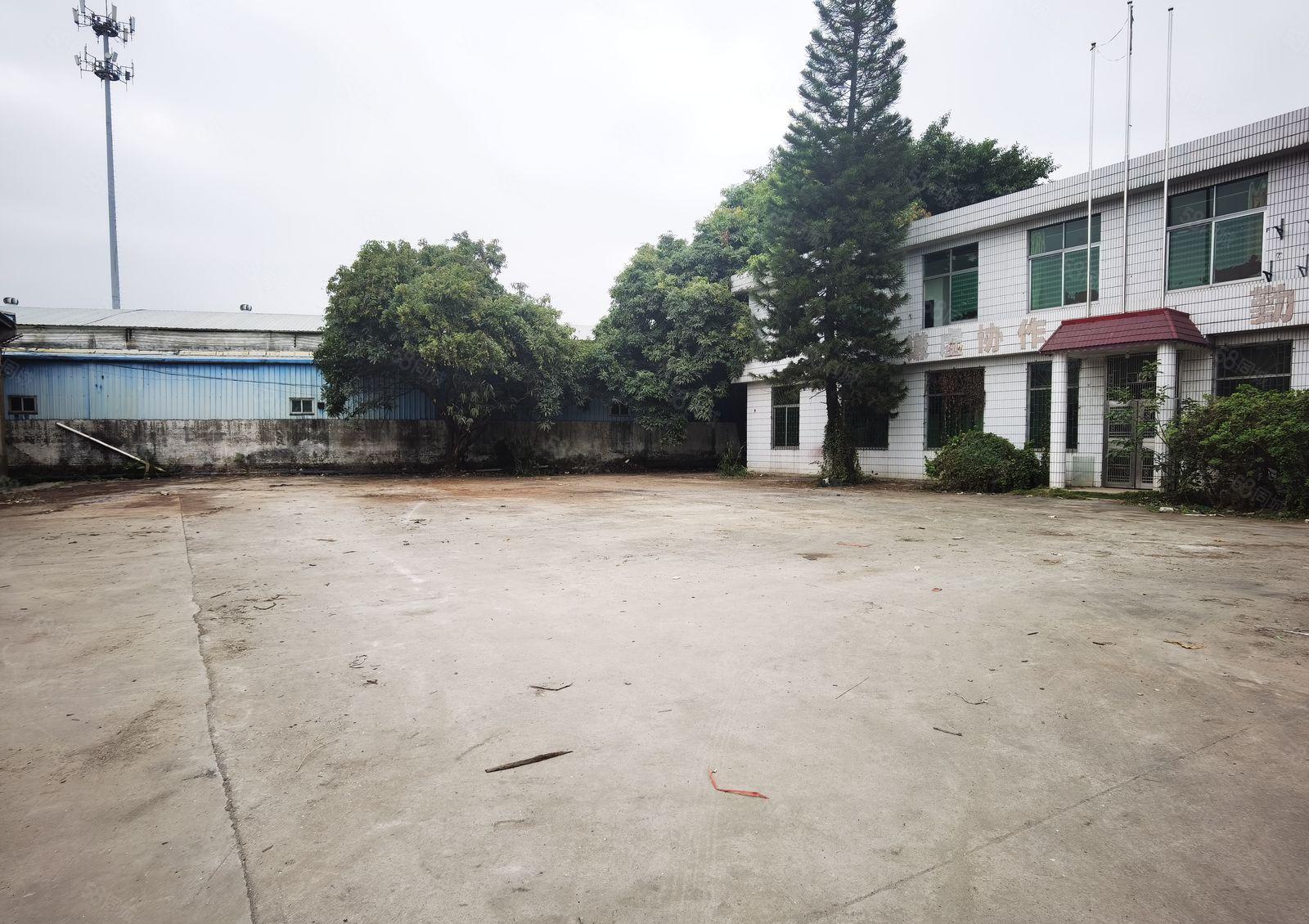 道滘镇低价独院单一层厂房出租3200平方空地大交通方便可分租