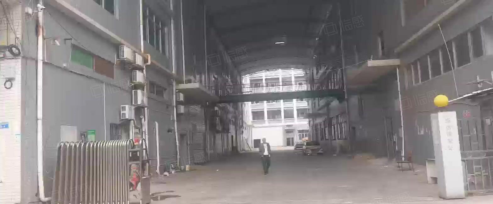 厂房出租低价，道滘现成食品环评独门独院，靠高速证件齐好进货柜