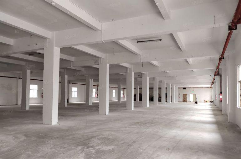 道滘标准厂房二楼2800平方可以分租1400平方，报价9元