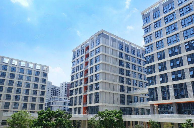 道滘重大工业园区招商，5百到5万平厂房出租，有补贴，有低空间