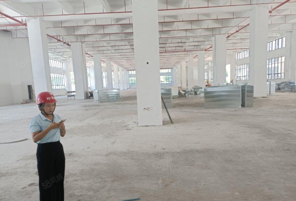 东莞道滘镇全新标准厂房出租，形象高端大气，格局好，可以分租