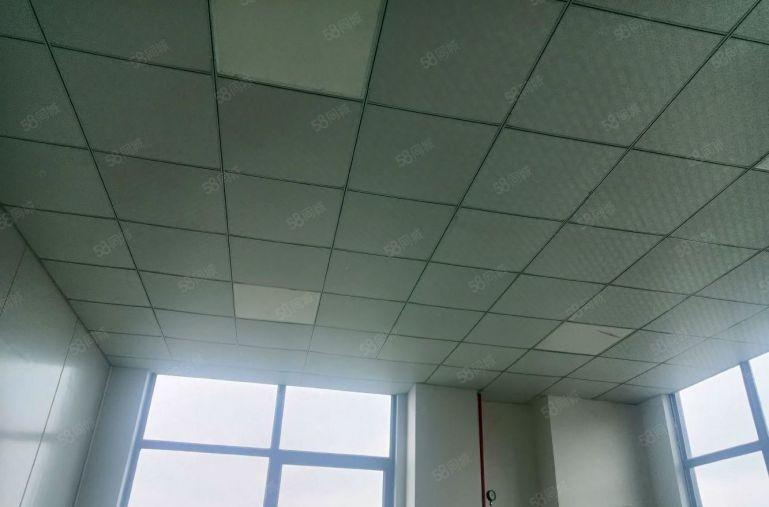 道滘镇 全新标准厂房 仓库2000平方，原房东低价出租