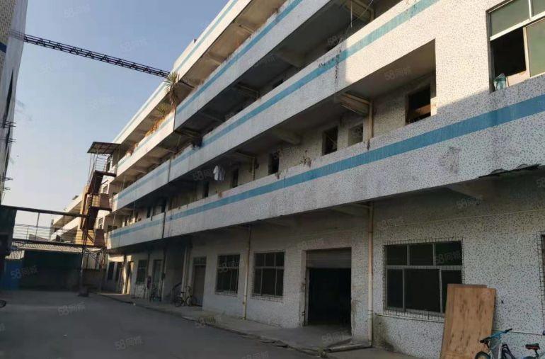 道滘蔡白独栋厂房，带2吨货梯火爆招租