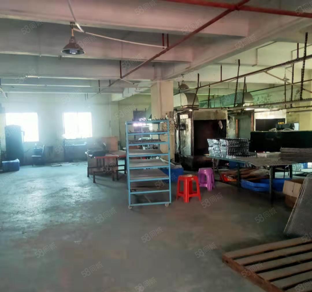 厂房出租  道滘原房东独院厂房，周边无居民，可办环评，形象好