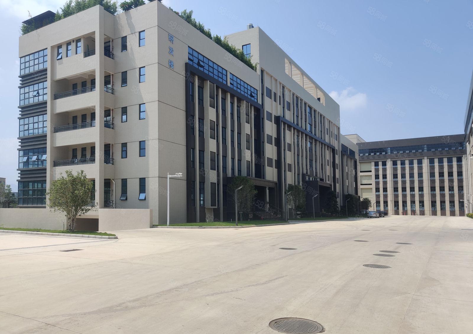 6元200平道滘望牛墩洪梅原房东无公摊2万平一楼仓库厂房出租