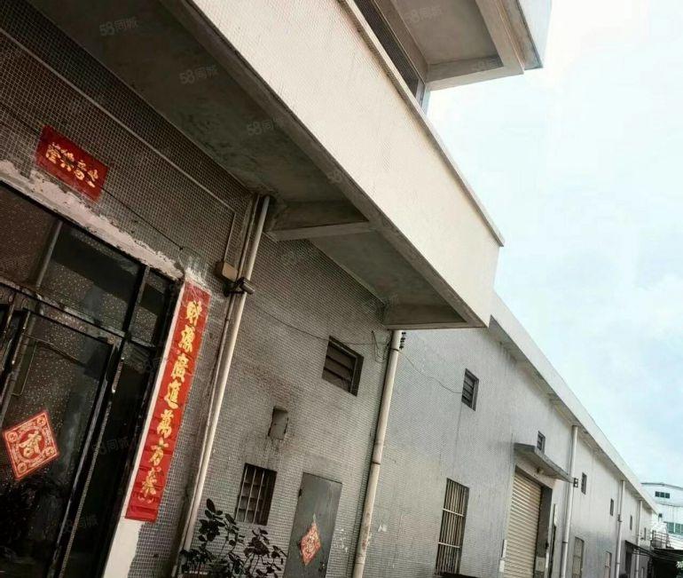 道滘原房东厂房出租，单一层厂房出租，形象好