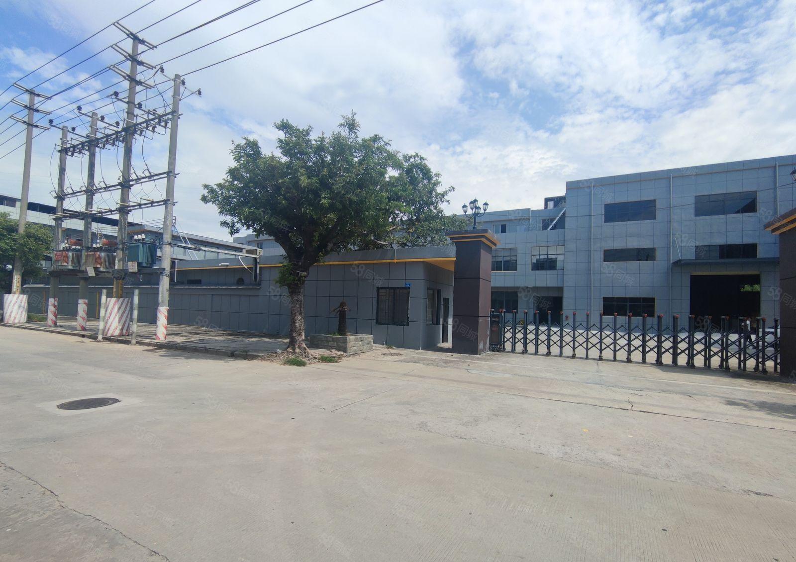 道滘镇南丫原房东独门独院厂房出租总面积6000平米形象非常好