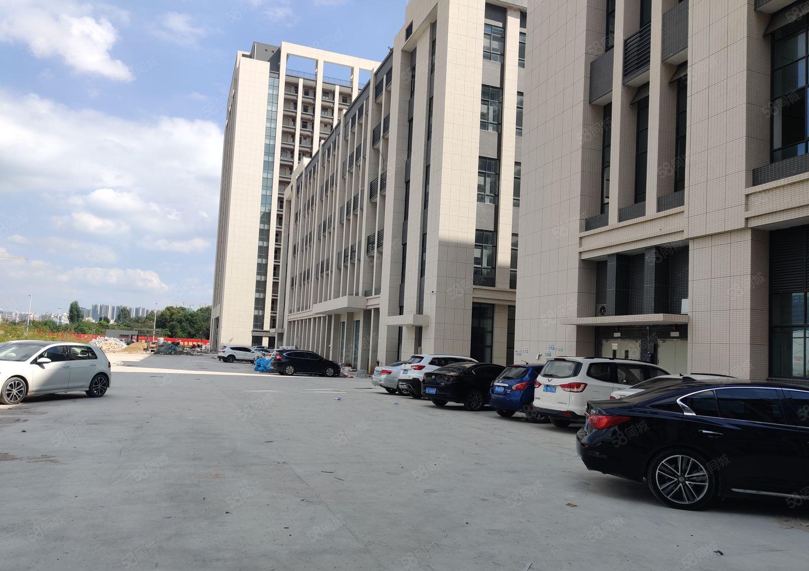 6元200平起租道滘望牛墩洪梅原房东无公摊一楼仓库厂房出租