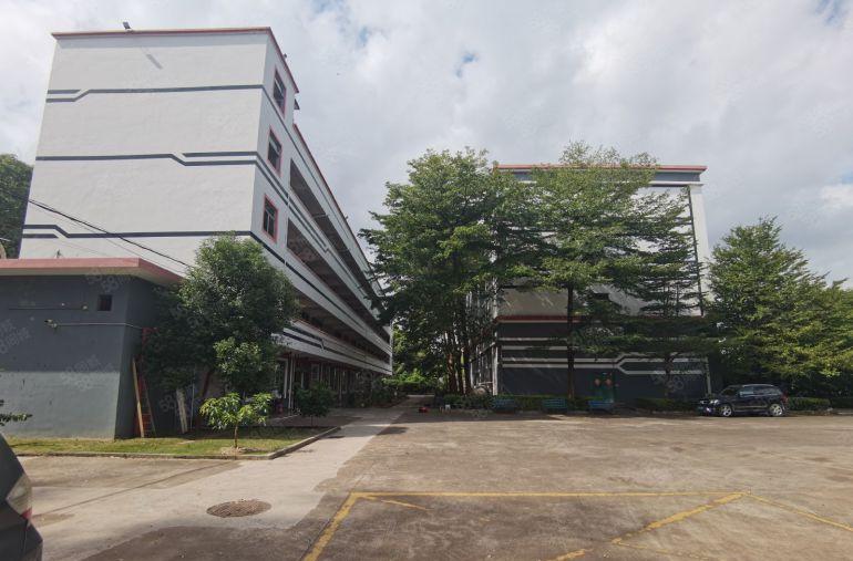 道滘独院每层2700随意分租另有一栋办公室