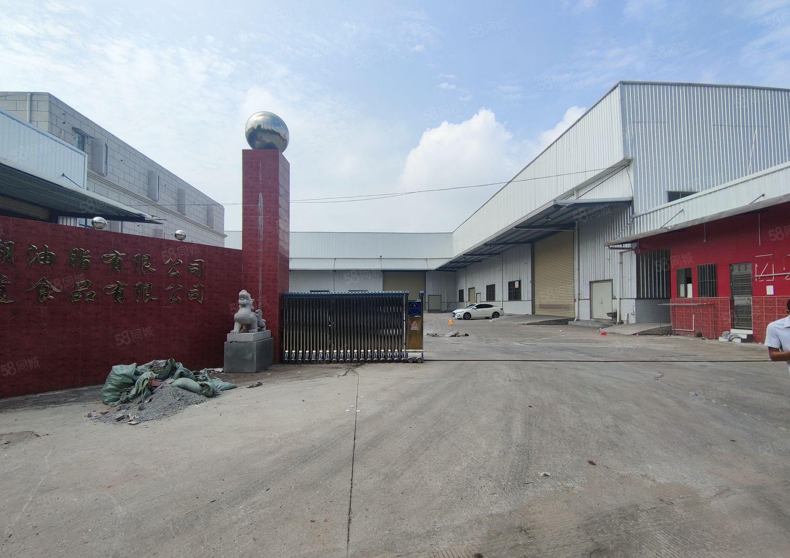 道滘靠近洪梅独门独院单一层钢结构厂房出租8000平方6间宿舍