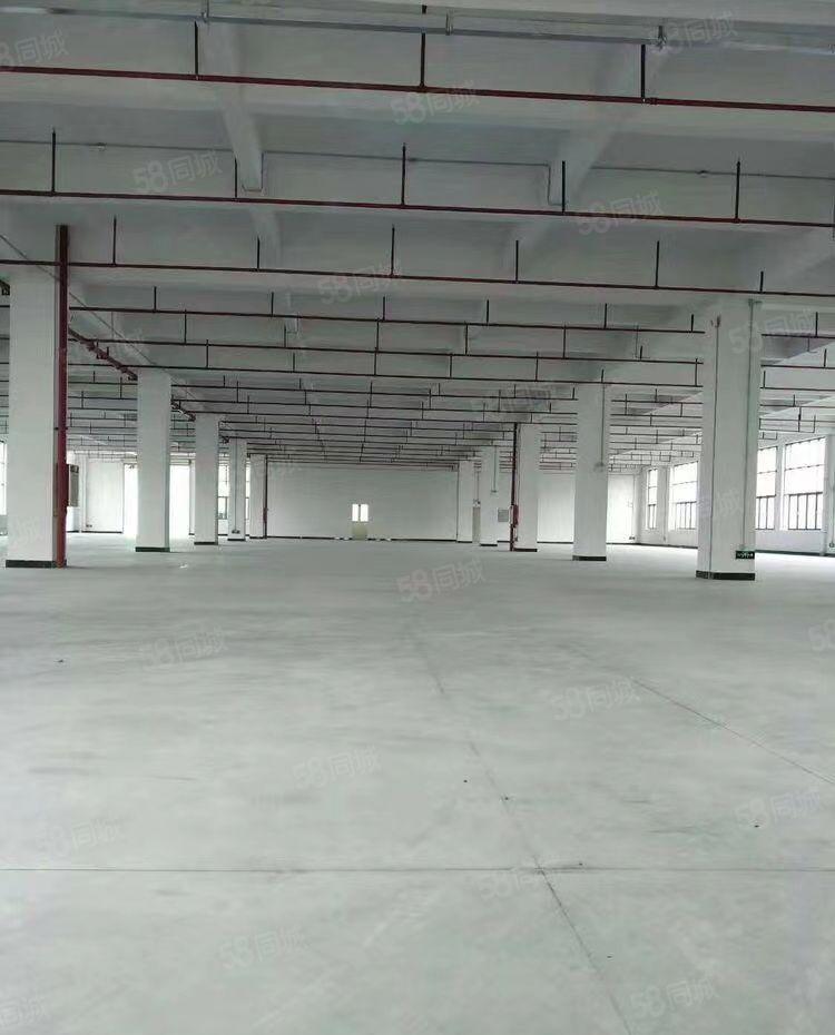 东莞市一手业主，本地原房东全新独院厂房出租，实际面积出租。