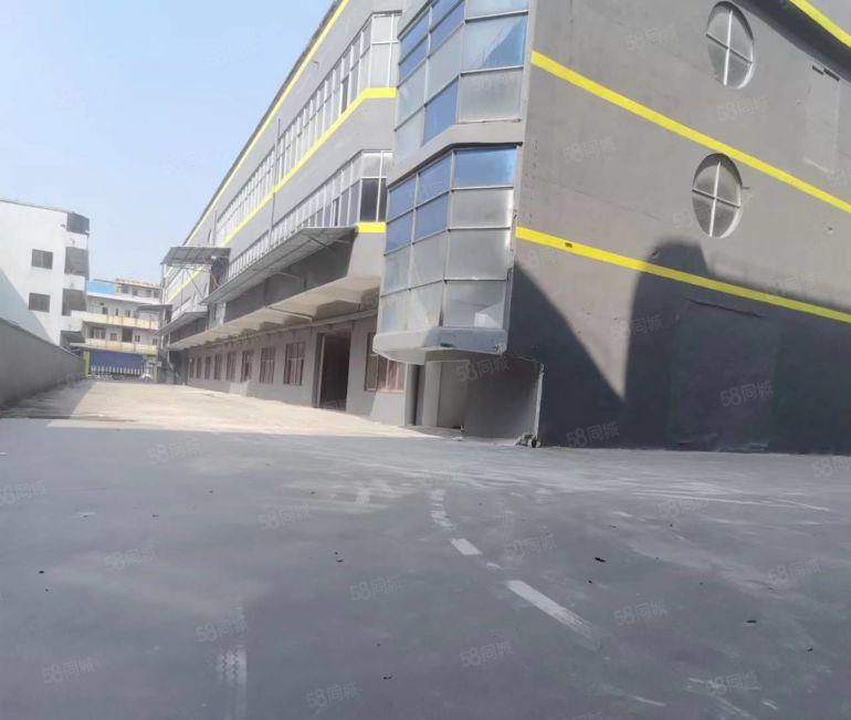 道滘临厚街万江南城蔡白工业区11000平标准独院厂房