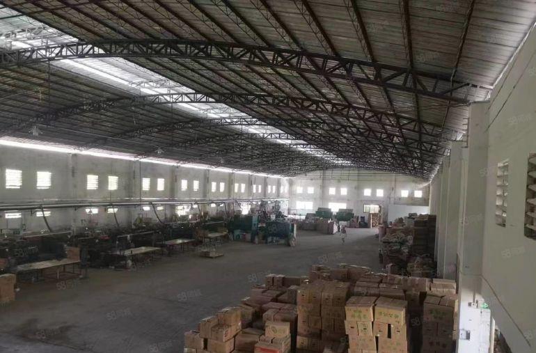 道滘镇新出单一层独门独院厂房