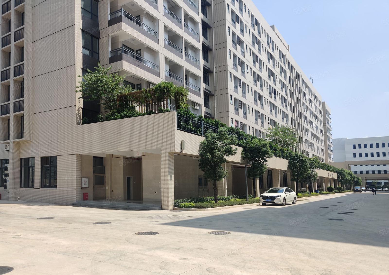 6元200平道滘望牛墩洪梅原房东无公摊2万平一楼仓库厂房出租