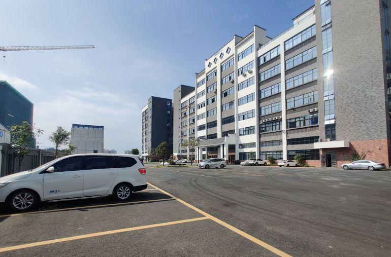 原房东8元零公摊甩租道滘洪梅望牛墩5千平一楼仓库厂房大小可分