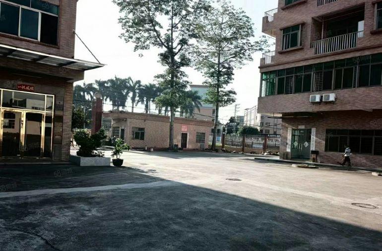 道滘独院花园式厂房出租，原房东出租，形象好超大空地