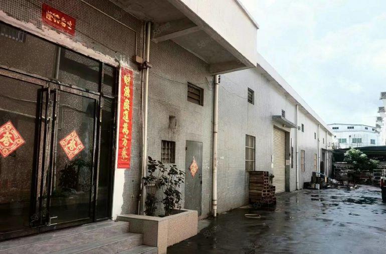 道滘原房东厂房出租，单一层厂房出租，形象好