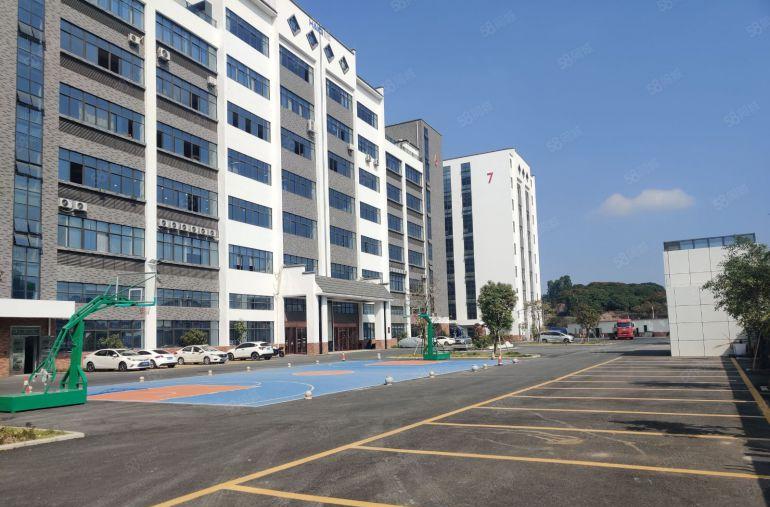 原房东8元零公摊甩租道滘洪梅望牛墩5千平一楼仓库厂房大小可分