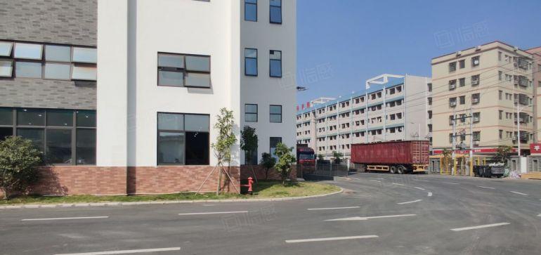 原房东8元零公摊甩租道滘洪梅望牛墩5千平一楼仓库厂房大小可分