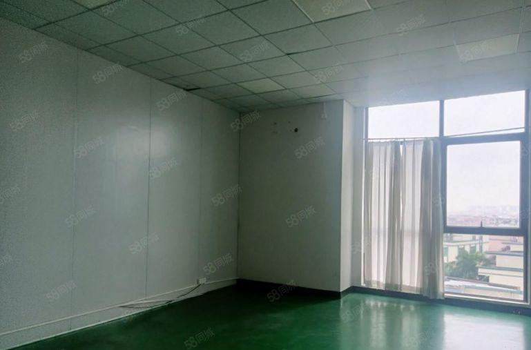 道滘镇 全新标准厂房 仓库2000平方，原房东低价出租