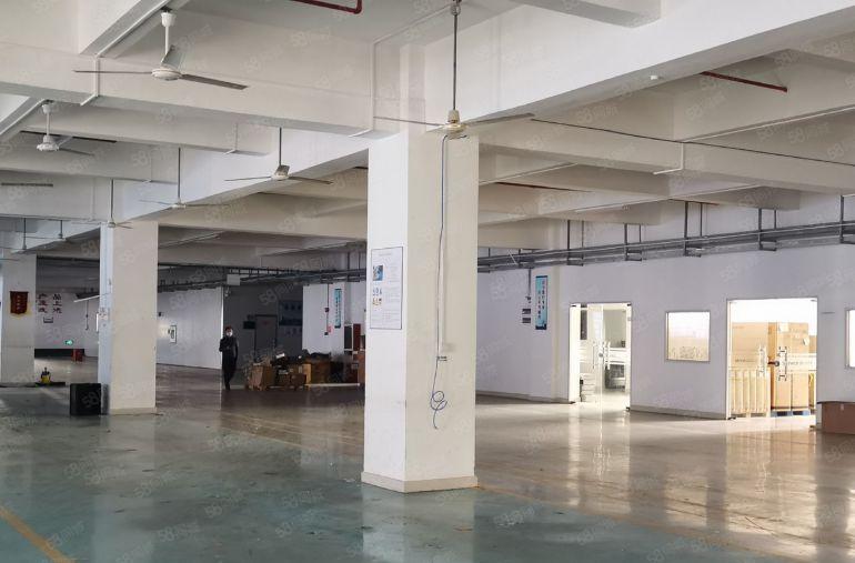 道滘独院每层2700随意分租另有一栋办公室