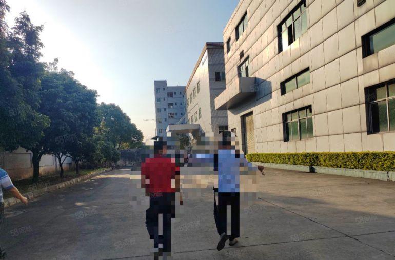 原房东红本双证独院2层独院现成装修 现成环评厂房可分租