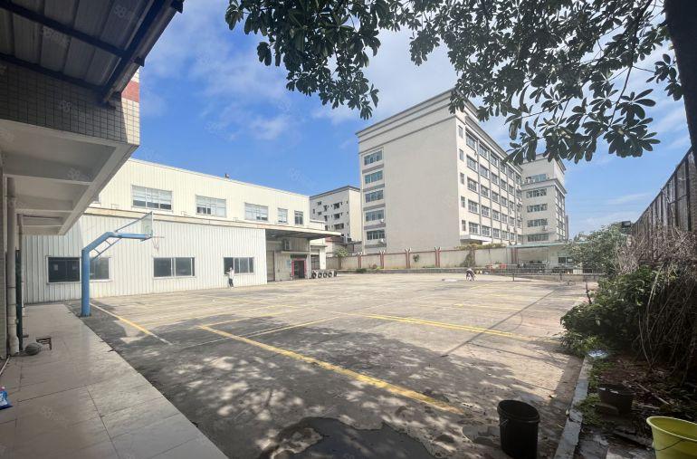 道滘新出原房东独院厂房出租，空地超大周边没居民。可做小污染