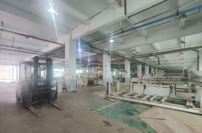 道滘新出花园式独门独院标准厂房26000平方面积大小可分租