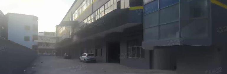 道滘临厚街万江南城蔡白工业区11000平标准独院厂房