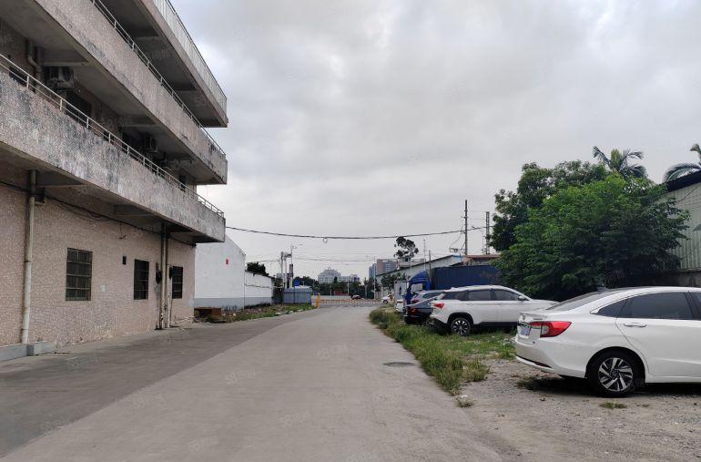 道滘原房东独门独院厂房，厂房面积1600平方