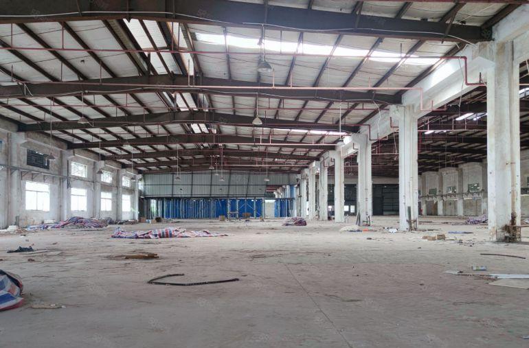 道滘镇原房东独院单一层厂房出租6000平方带宿舍办公室可分租