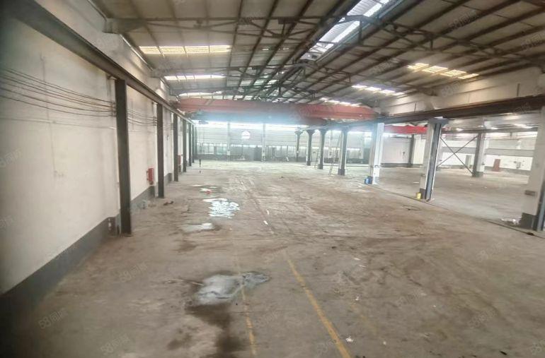 道滘新出4800独门独院厂房