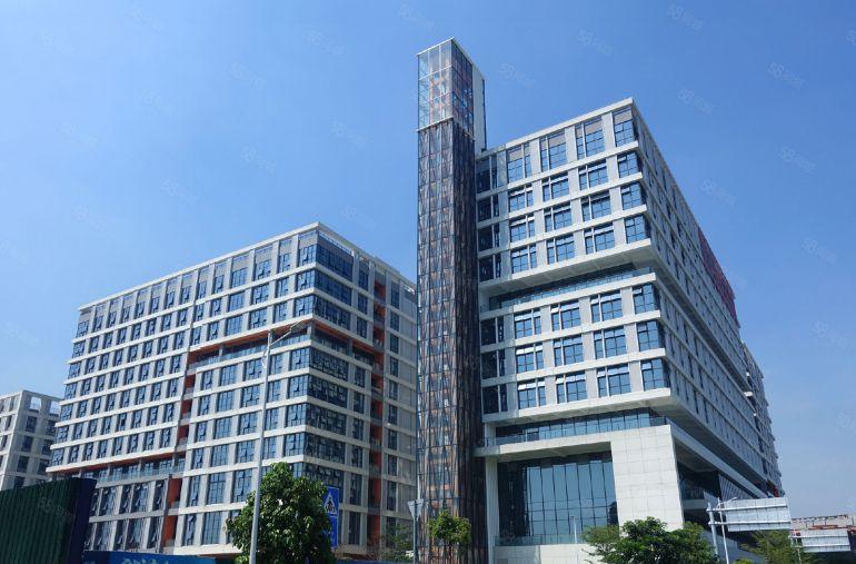 道滘政府厂房低价出租，实际面积无公摊，有补贴，免租期长。