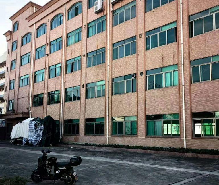 道滘独院花园式厂房出租，原房东出租，形象好超大空地