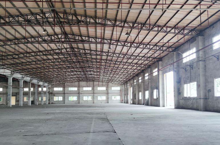 道滘镇原房东独院单一层厂房出租6000平方带宿舍办公室可分租