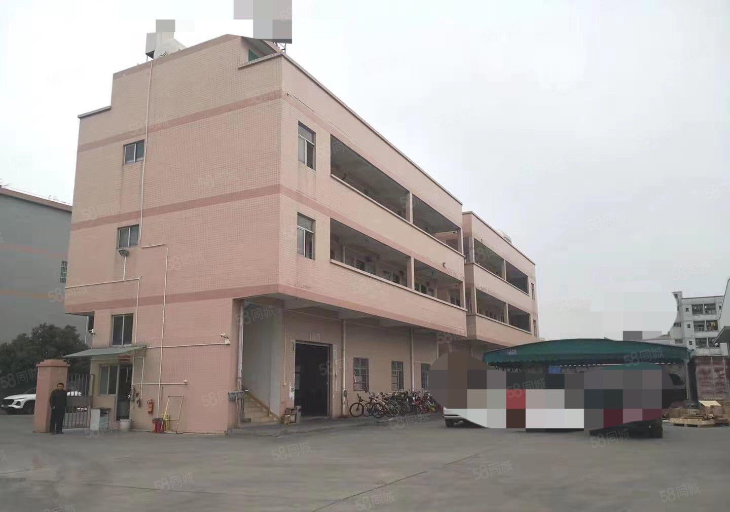 道滘独院厂房厂房面积1450宿舍面积600