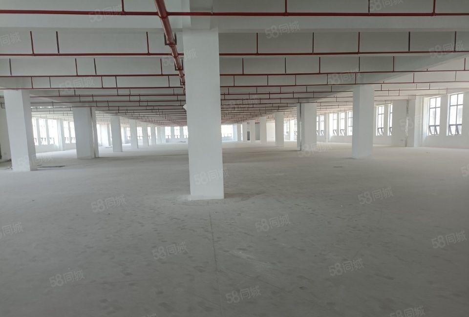 东莞道滘镇全新标准厂房出租，形象高端大气，格局好，可以分租