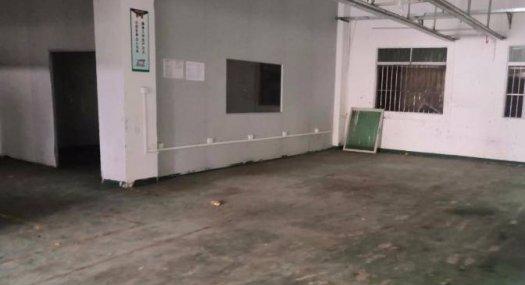 价格便宜凤岗竹塘独院厂房出租1200平带货梯现成办公室