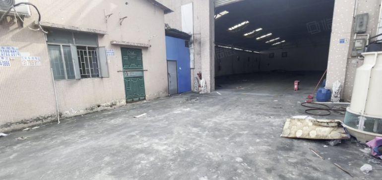 茶山新出砖墙到顶层高8米单一层独院厂房 带办公室地段好易招工