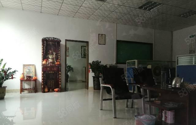 茶山原房东全新单一层钢结构厂房出租3000平方招租 滴水9米