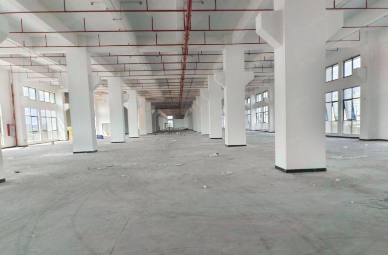 原房东直租！茶山新出8米高20000平全新重工业厂房出租