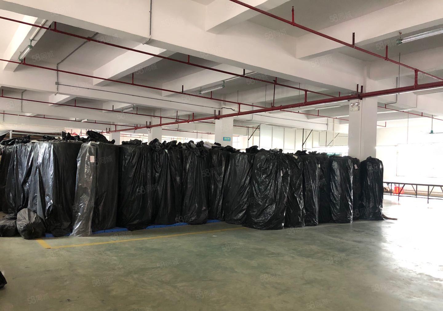 高端，大气标准独院厂房，适合制衣厂，电子厂，五金厂