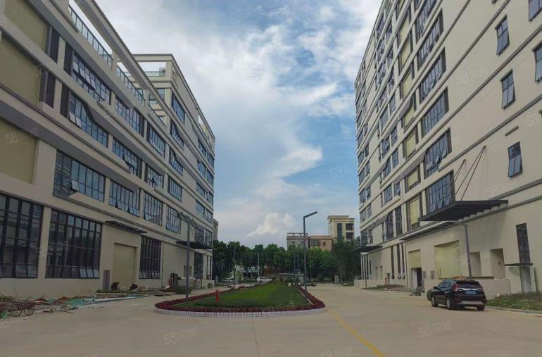 东莞市茶山镇新建独院厂房1000一5000平方起租格便宜。