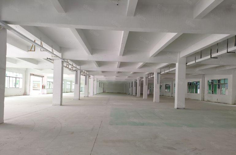 茶山新出现成装修厂房低价出租适合做注塑，硅胶，CNC加工等！