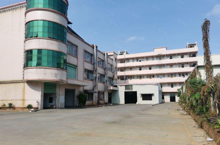 茶山独门独院厂房出租，500平方米起租有宿舍有办公室可整租