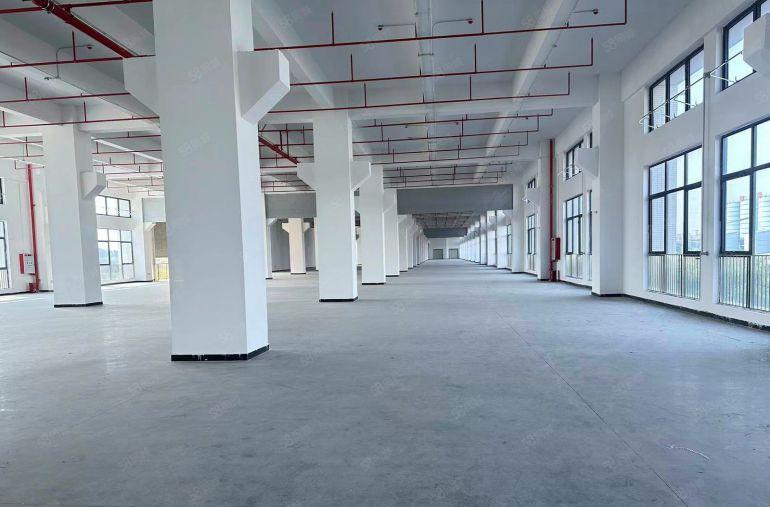 一手房东出租！5吨大货梯茶山5300平方全新重工业厂房出租